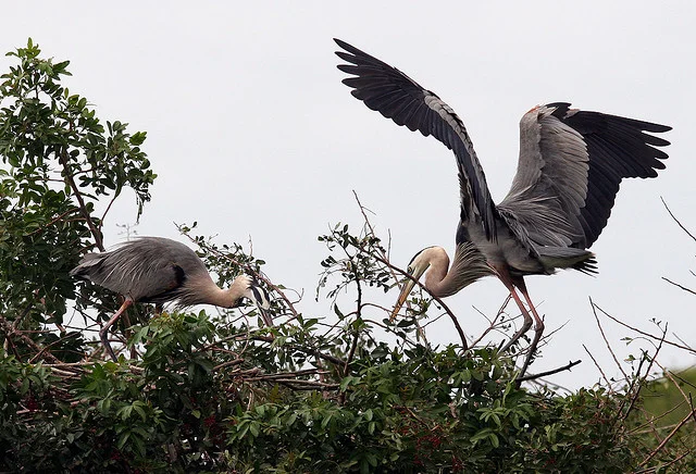 Independence, Dependence, and Interdependence