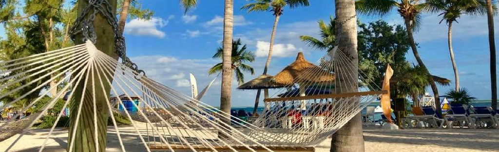Grab a hammock and relax!
