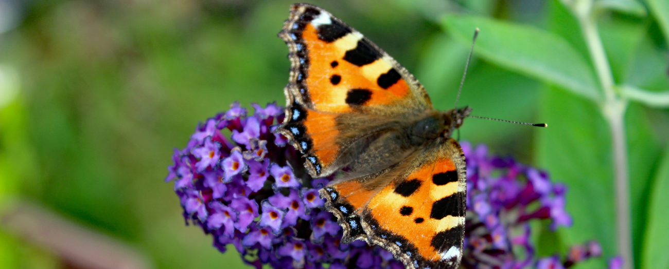 Why Change Doesn't Work