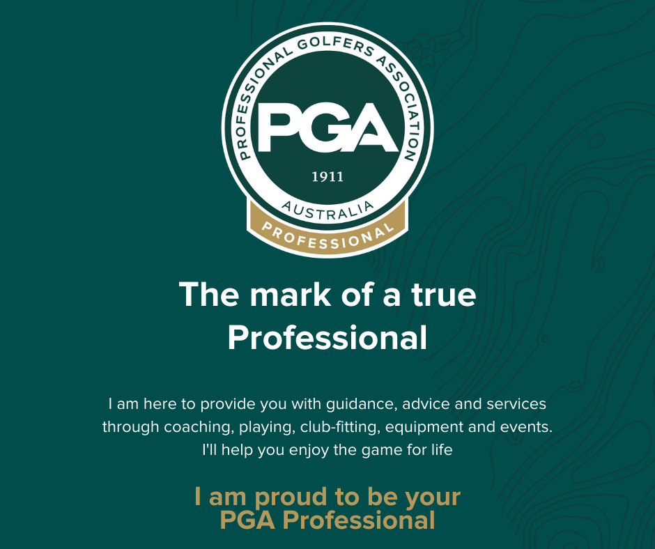 The Mark of a True Professional.png