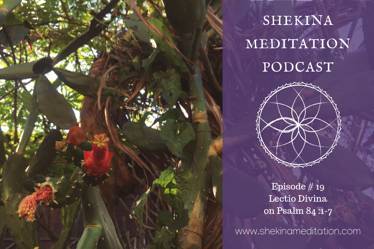 SHEKINAMEDITATIONPODCAST#19.png