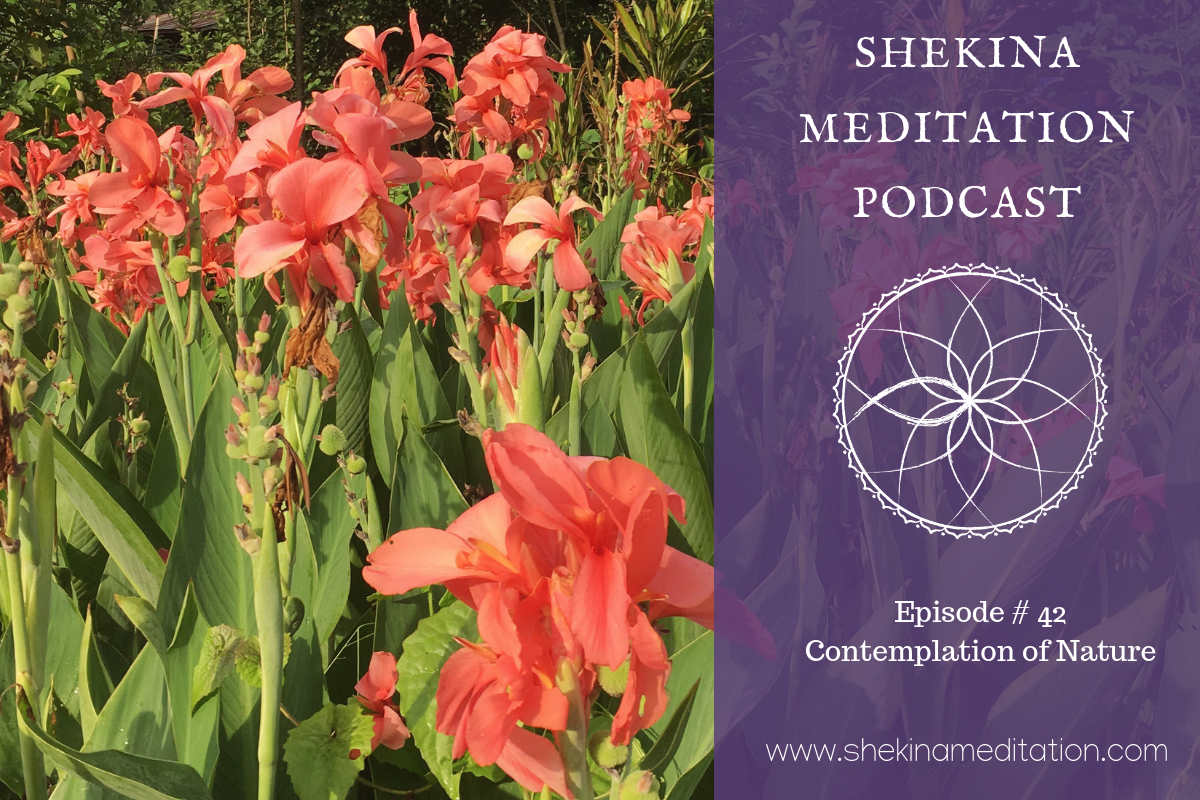 SHEKINAMEDITATIONPODCAST#42.png