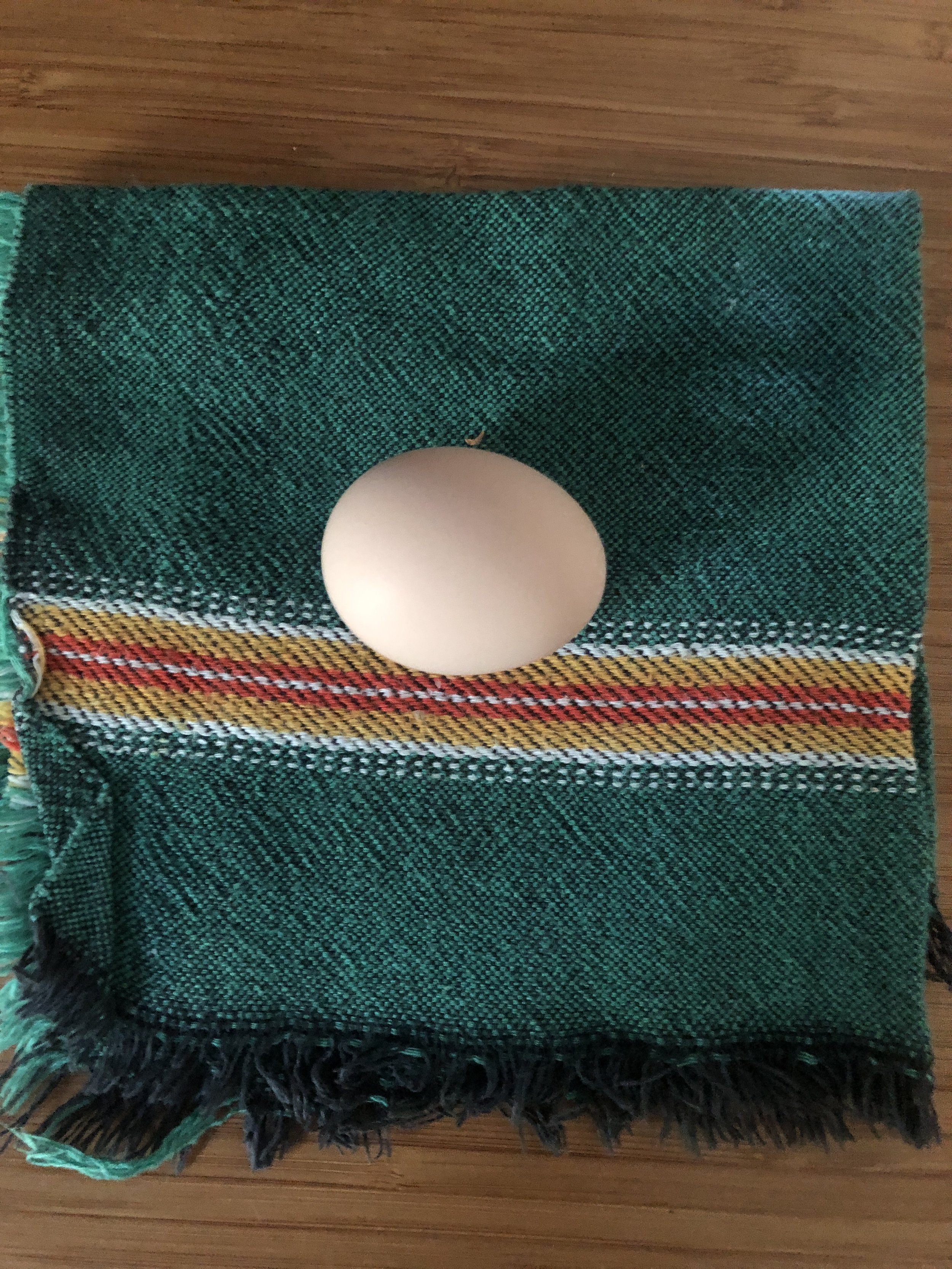 Egg #2.JPG