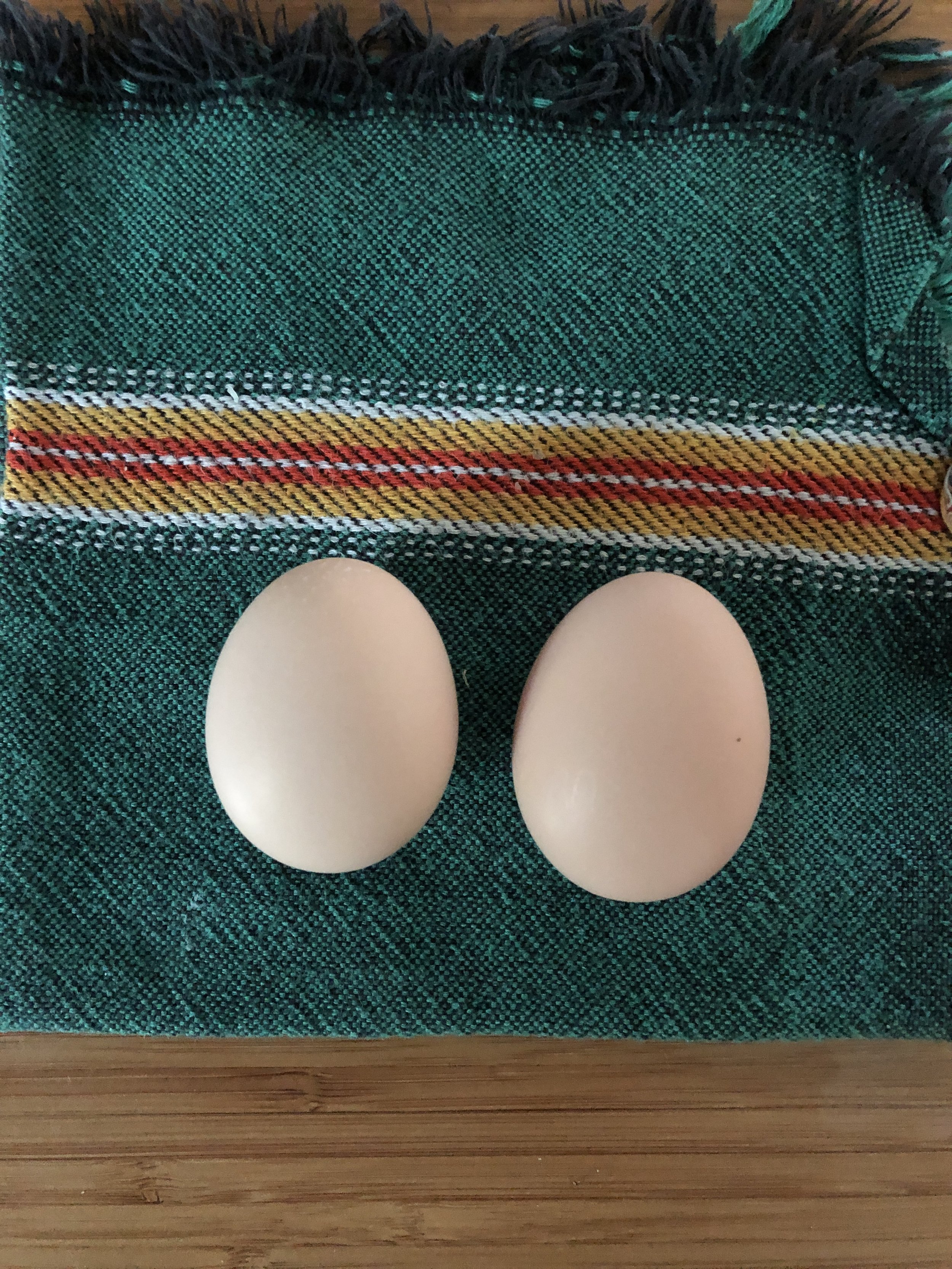 Egg 2 and 3.JPG