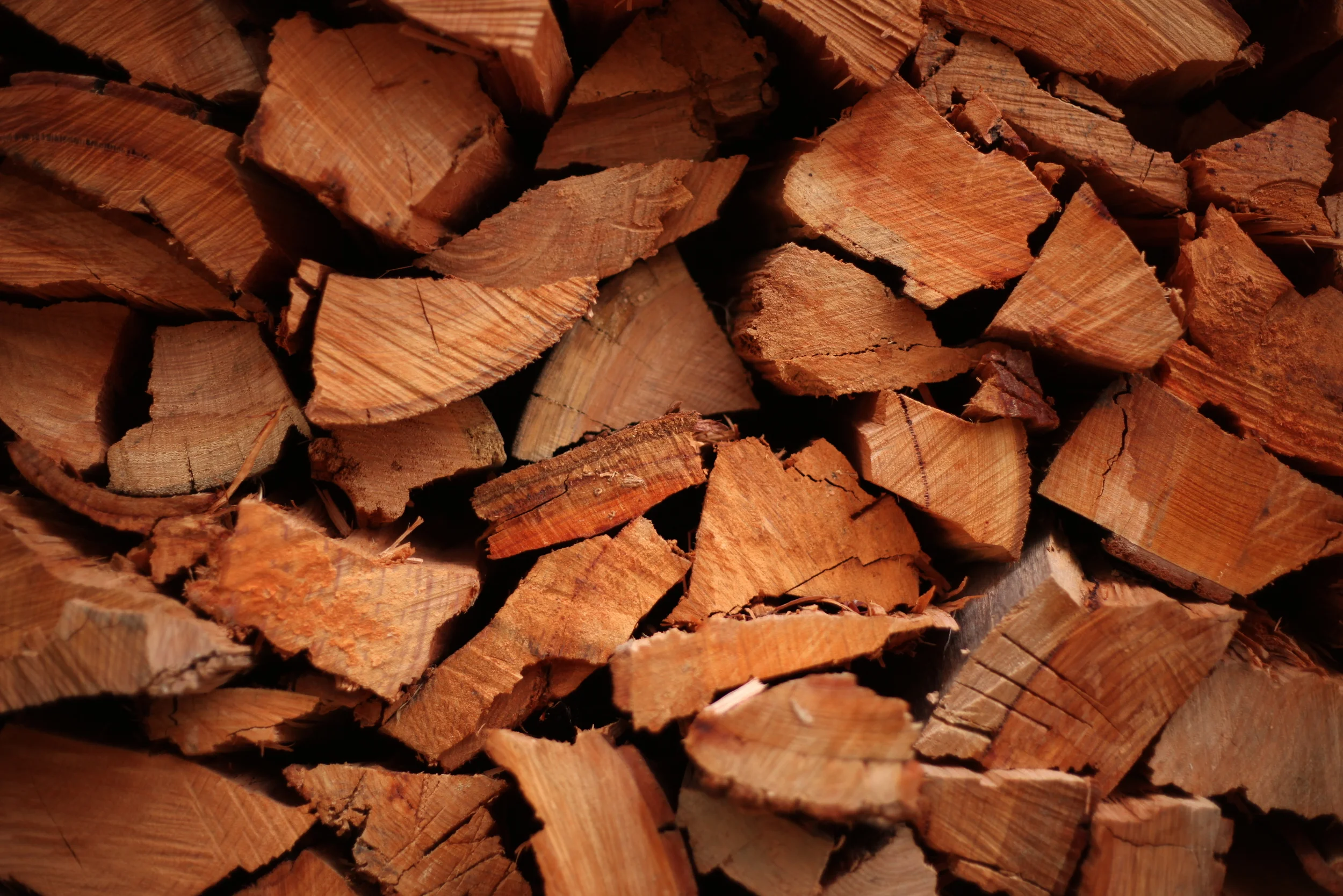 Woodpile