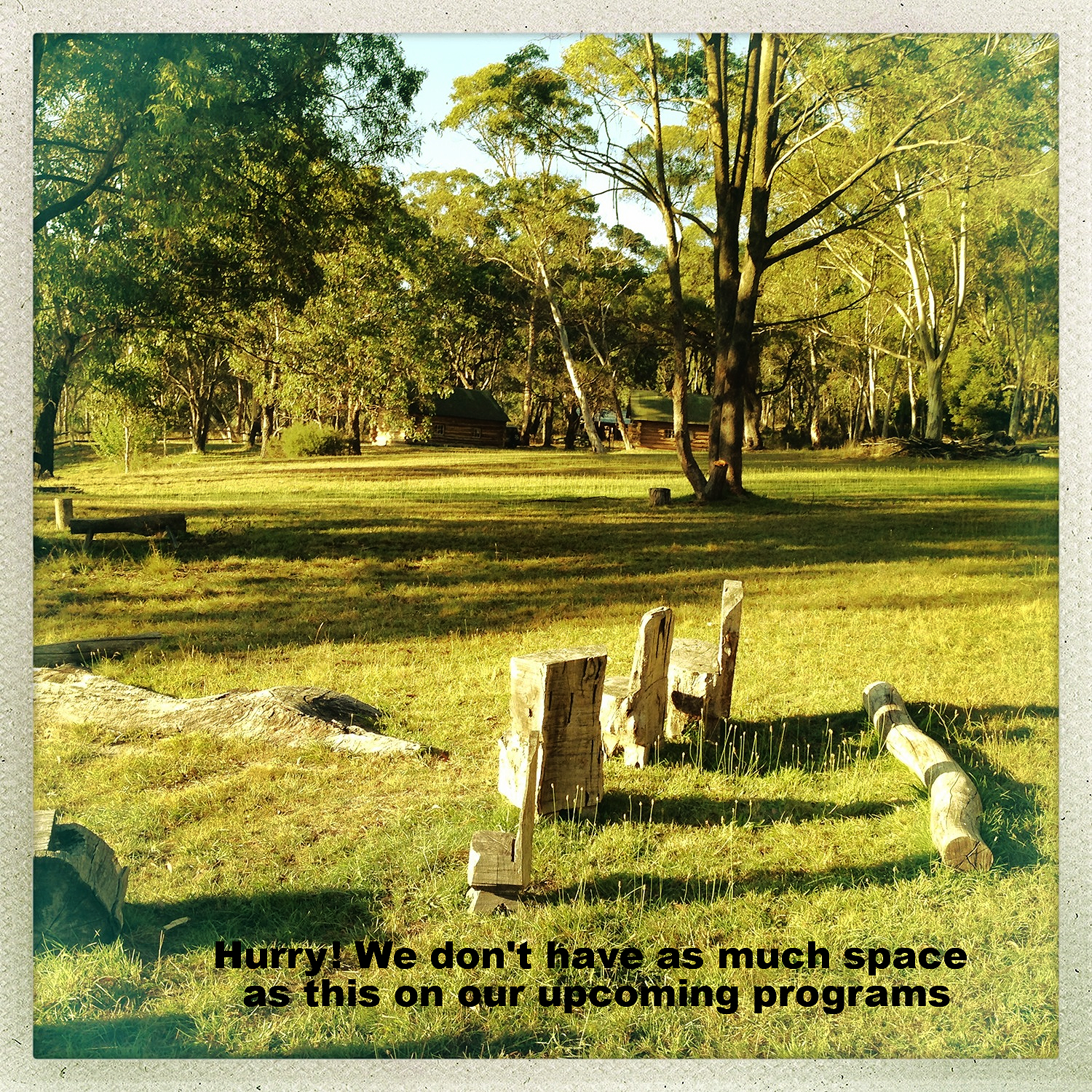 Snow thawing out and gearing up to Spring  into  action   