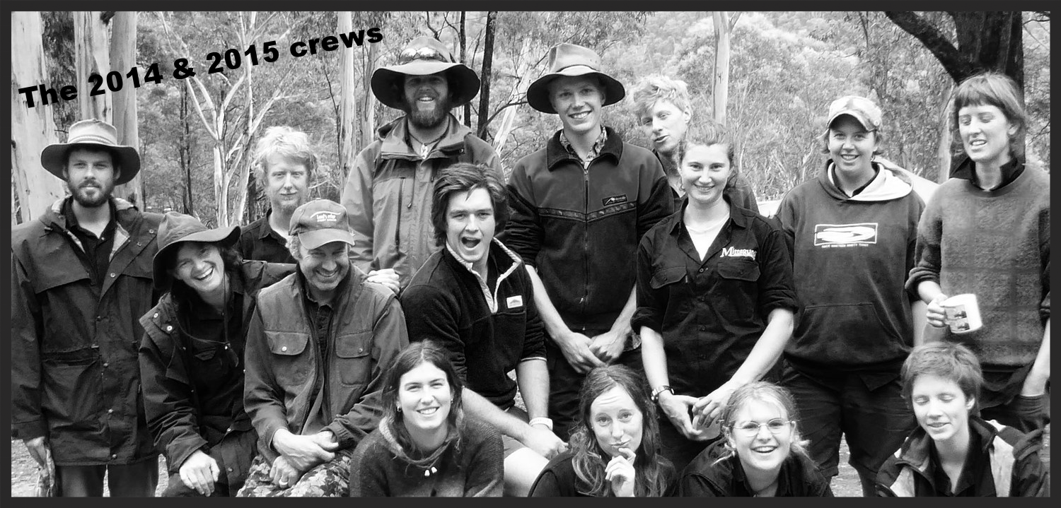 staff of 2014 - 2015.jpg