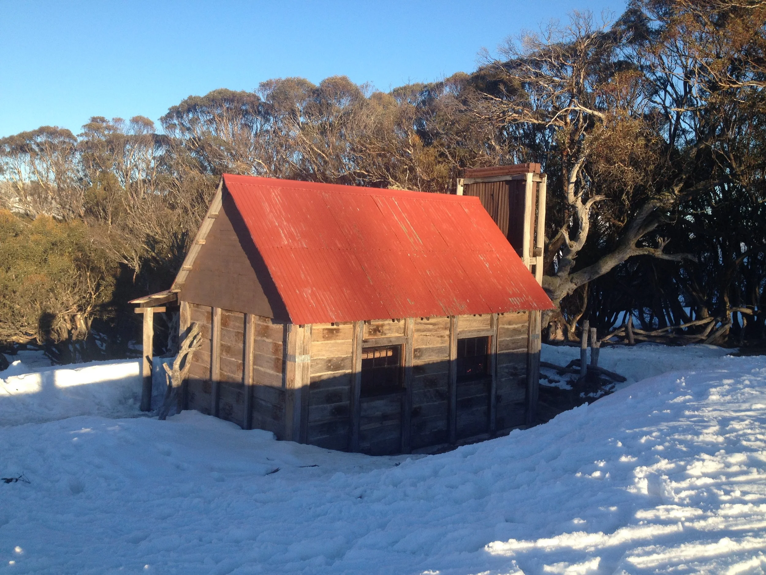 Adult Winter Program