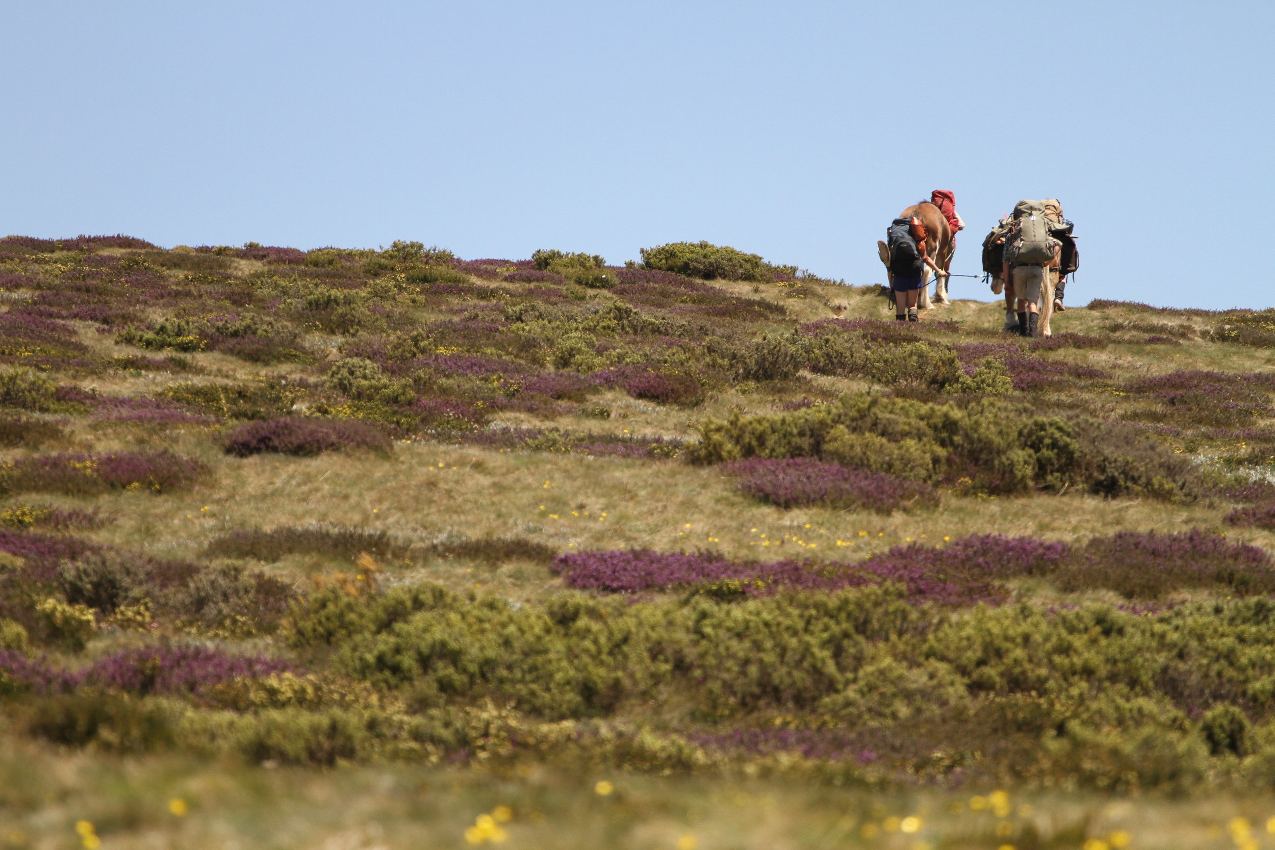 Walk 3 Brainsick productions.JPG