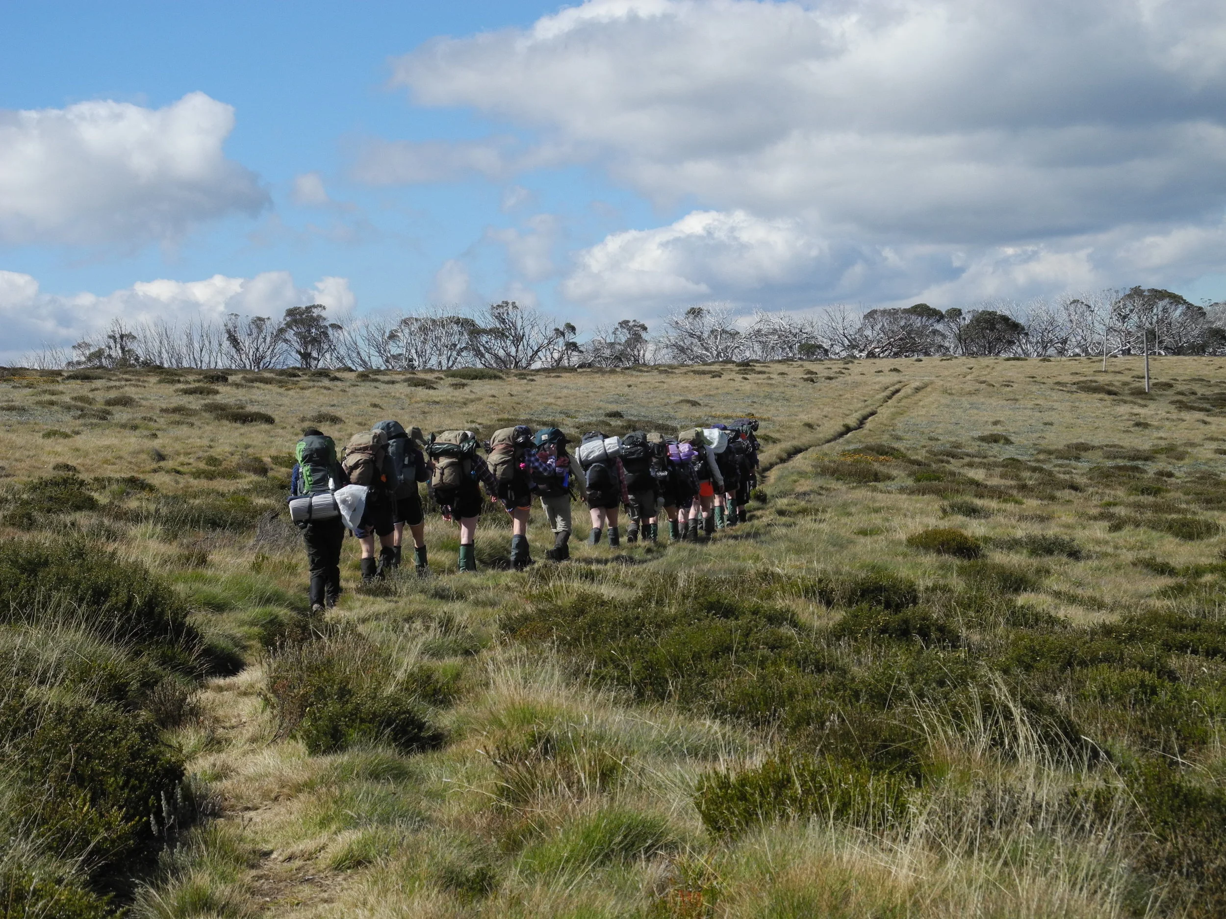 Bushwalk Bogong High Plains Girls 427 Pic by Mira.JPG