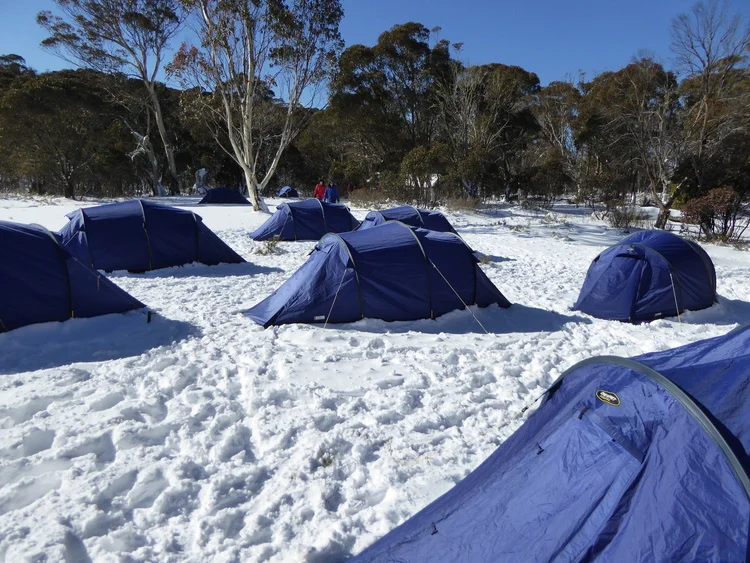 Mittagundi Winter Programs