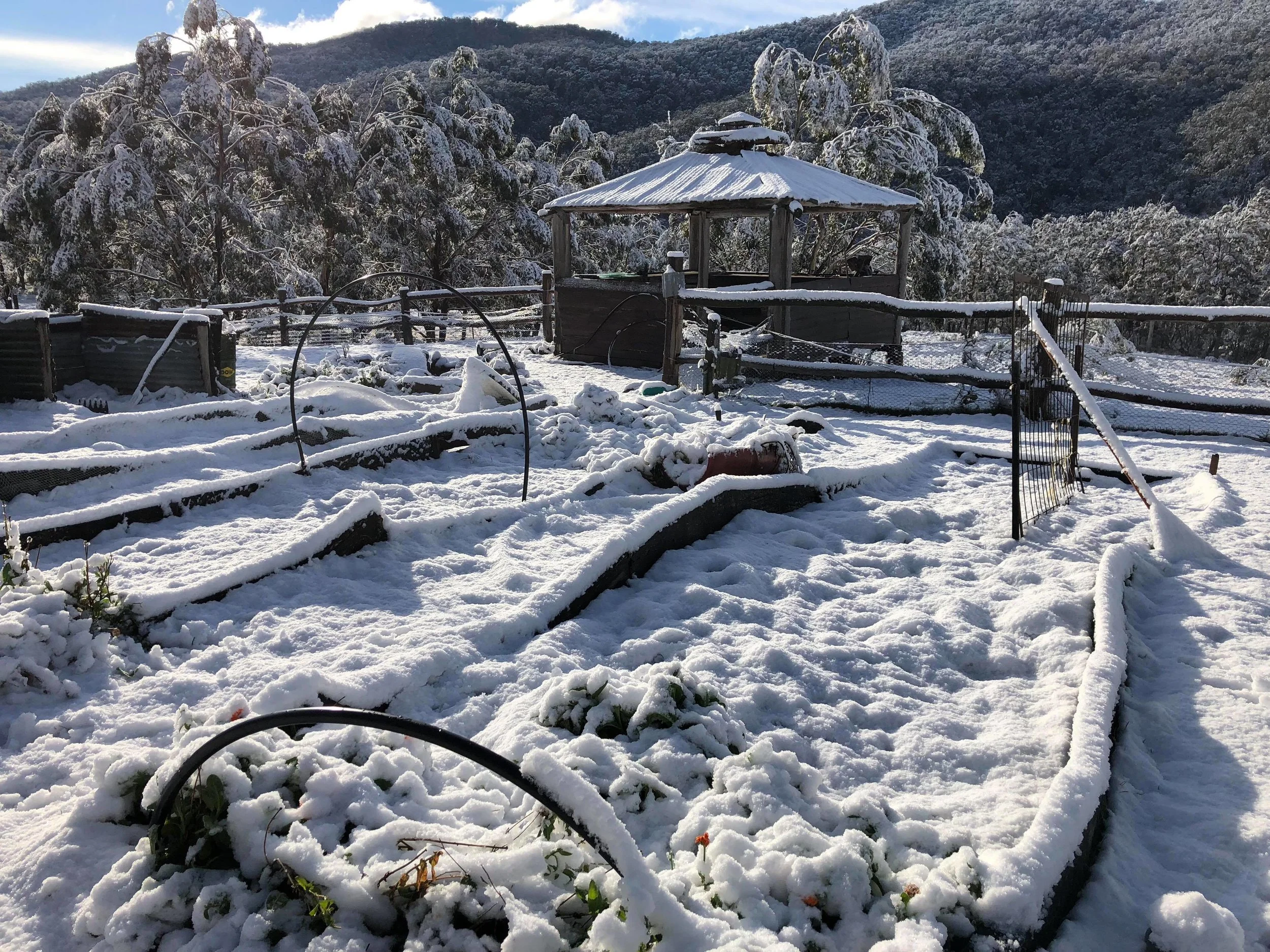 Winter 2018.jpg