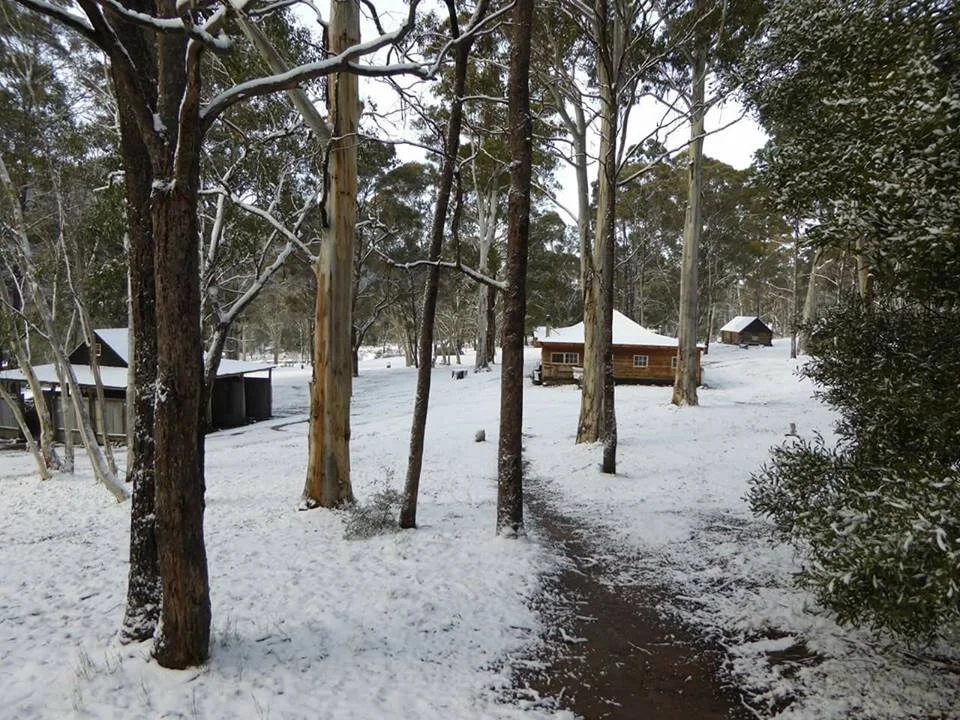 Winter 2020 Newsletter