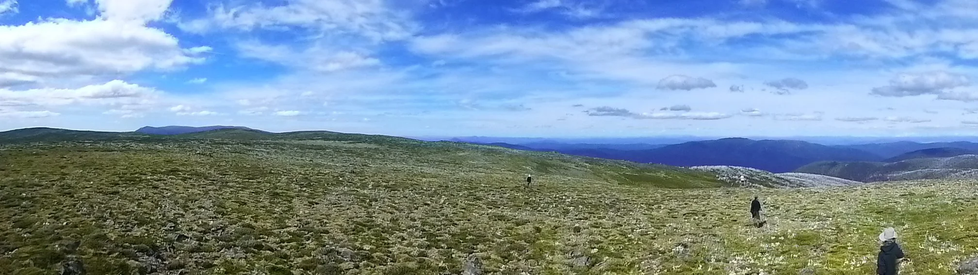 Summer Working Bee 2024