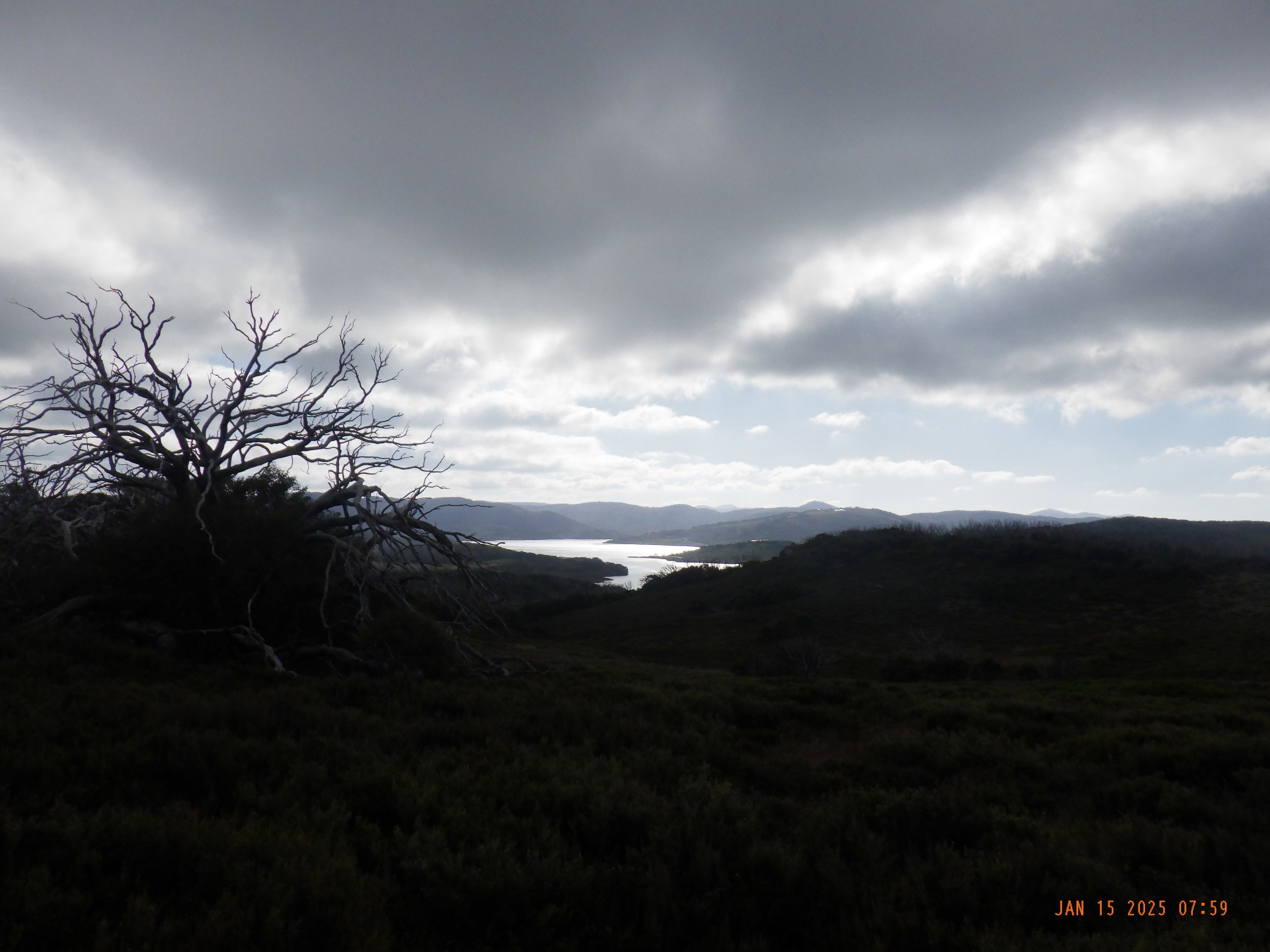 Copy of R0012569.JPG