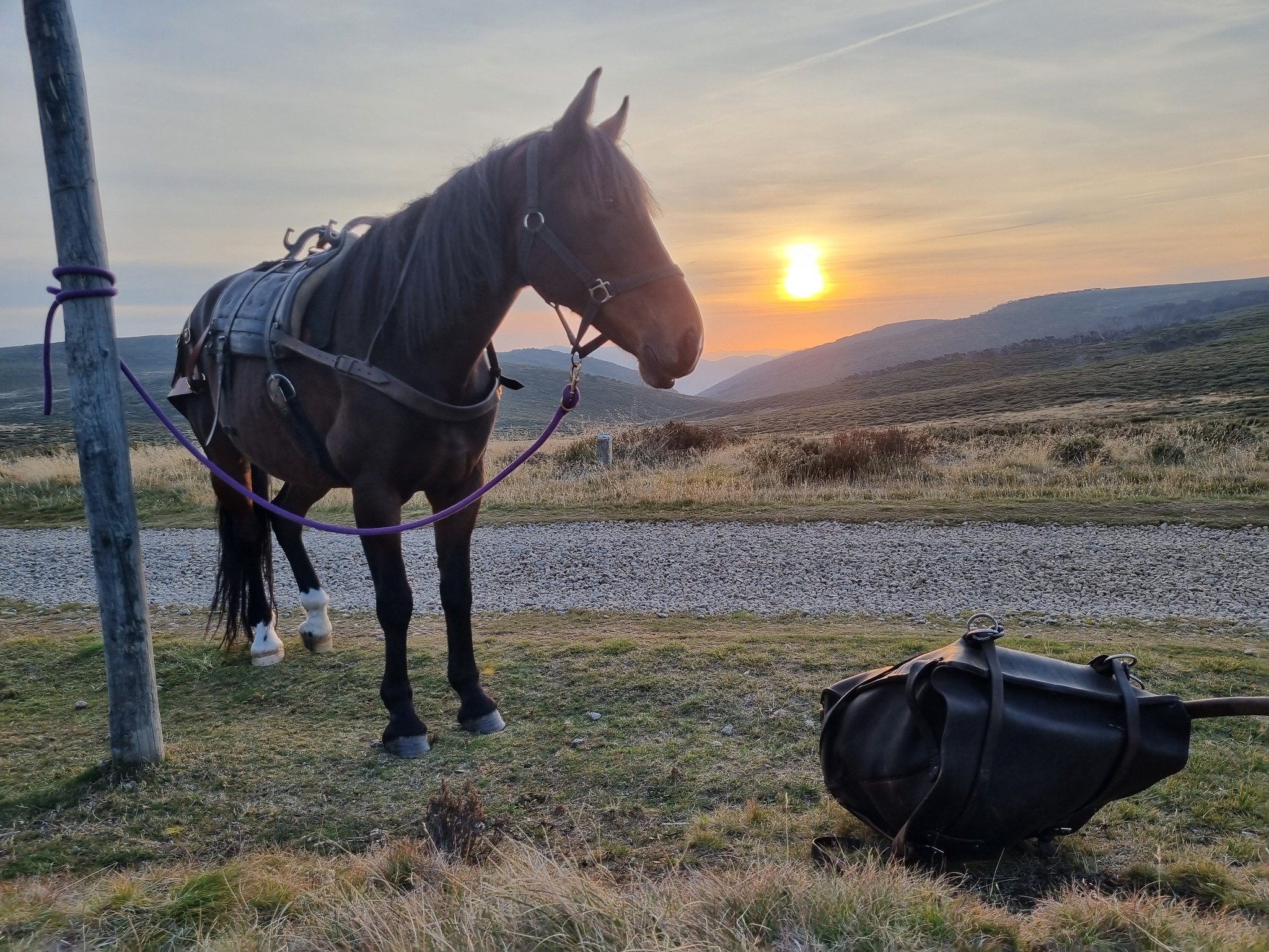 Thank you Winnie for helping carry our gear on our Summer and Autumn hikes! ❤