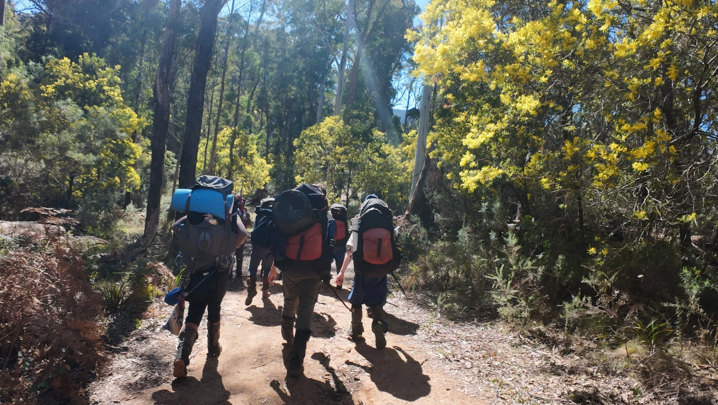 Copy of DJI_20251004023844_0724_D.JPG