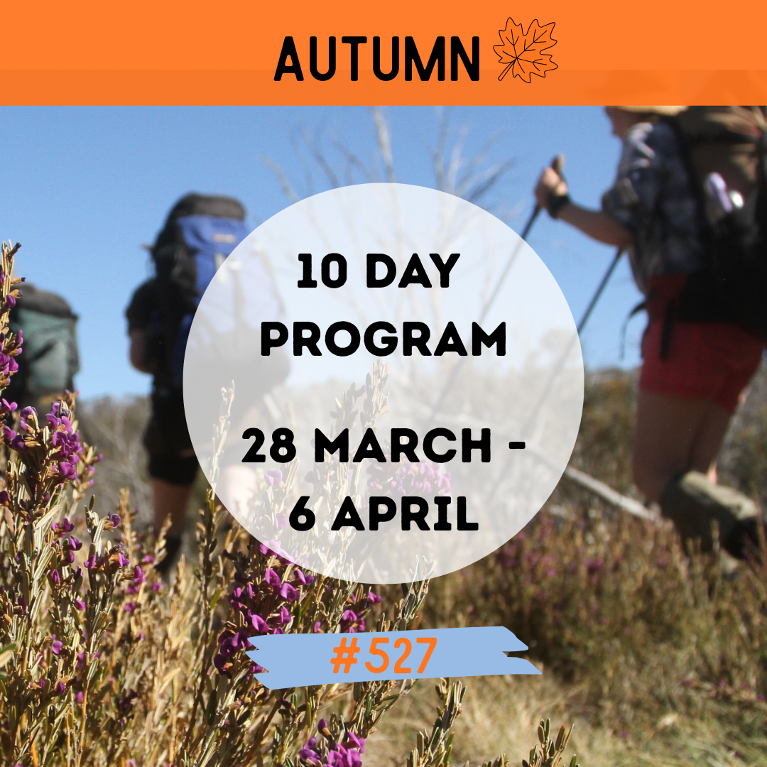 #527 Mixed 10-Day Program 