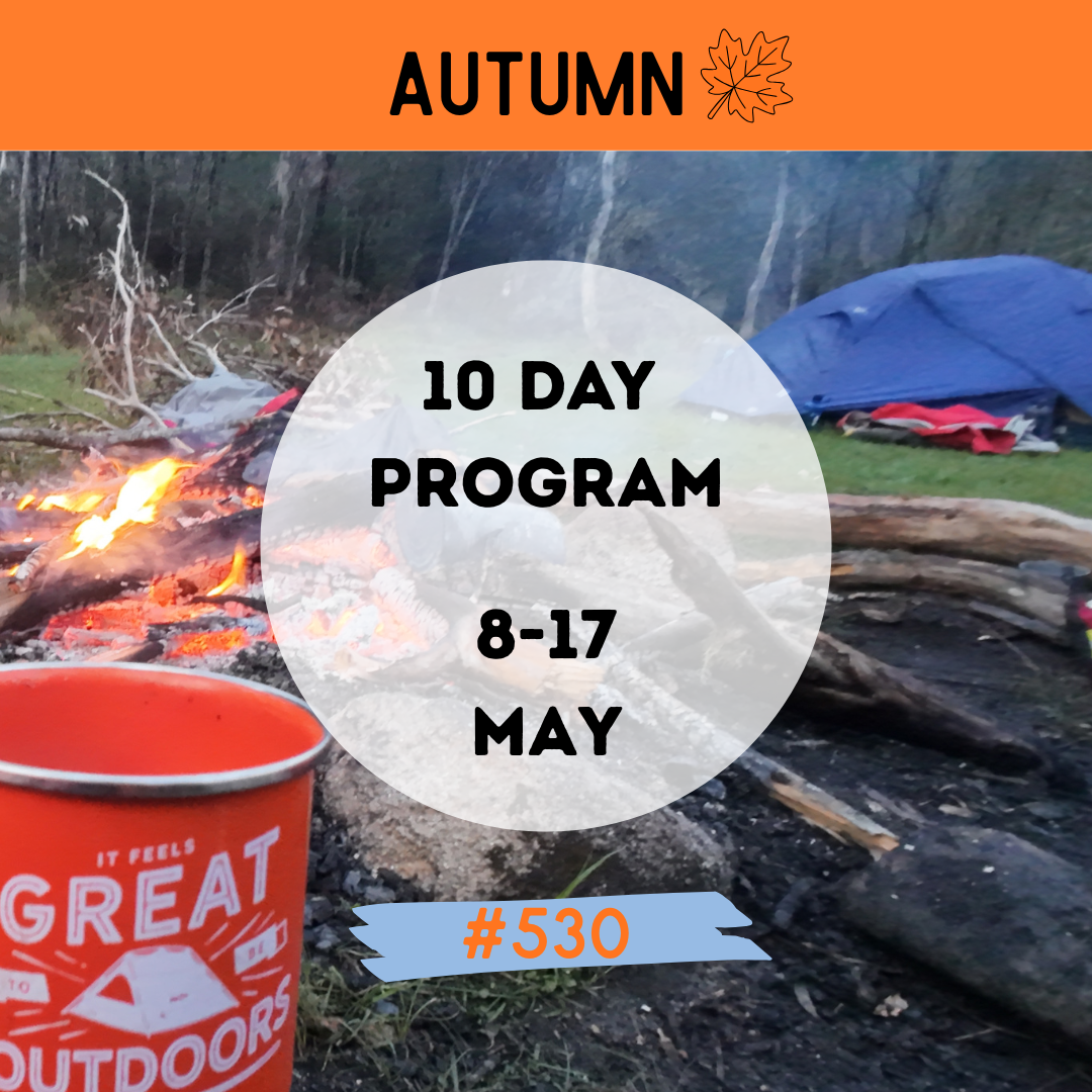 #530 MIXED 10-Day Program  