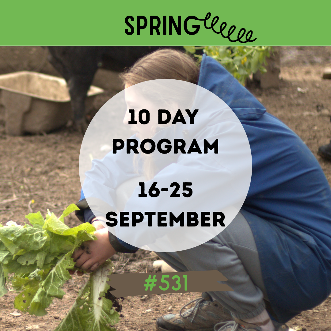 #531 MIXED 10-Day Program 