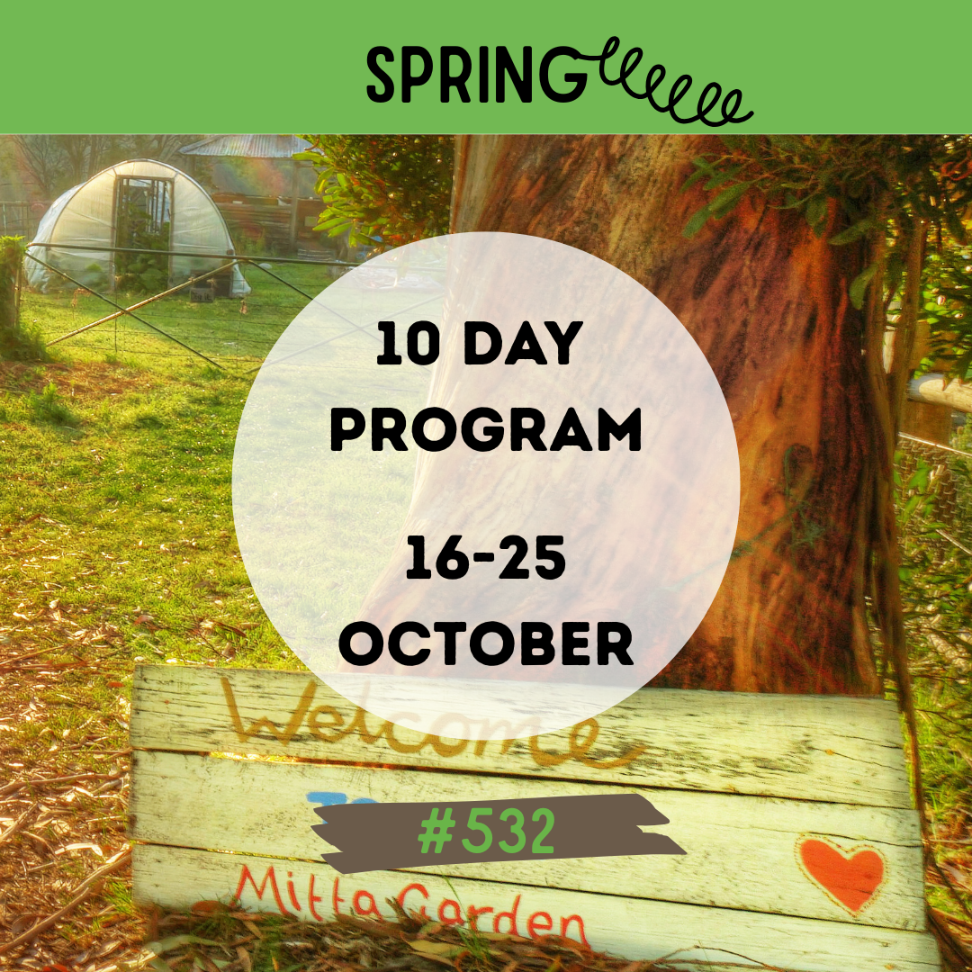 #532 MIXED 10-Day Program 