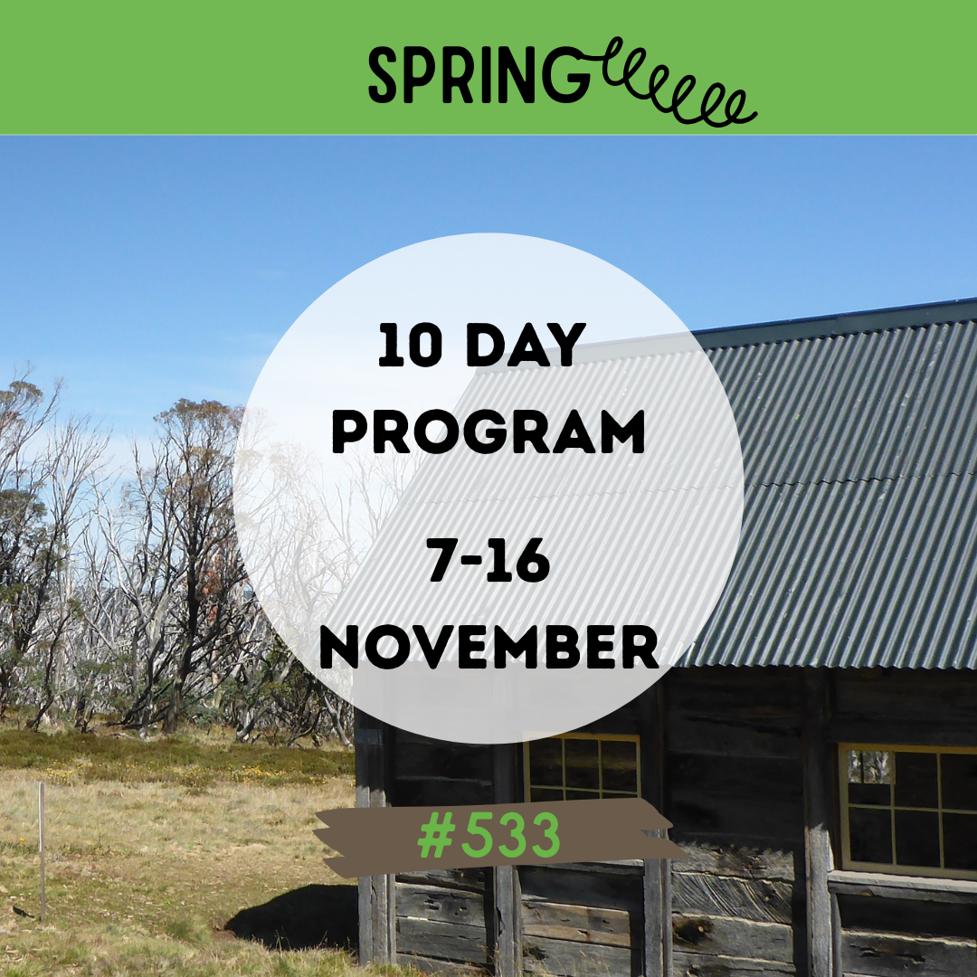 #533 MIXED 10-Day Program 