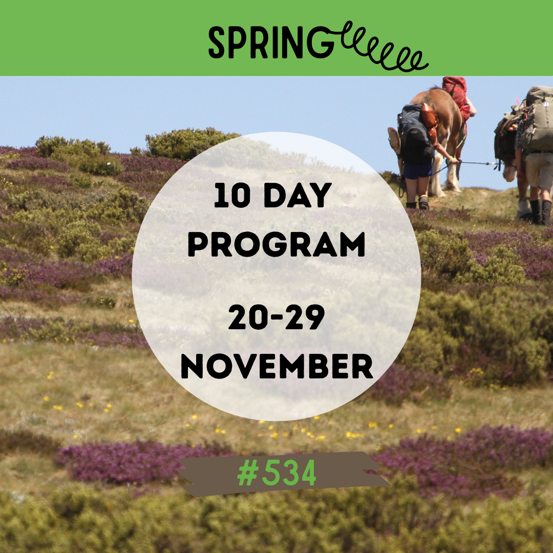 #534 MIXED 10-Day Program 