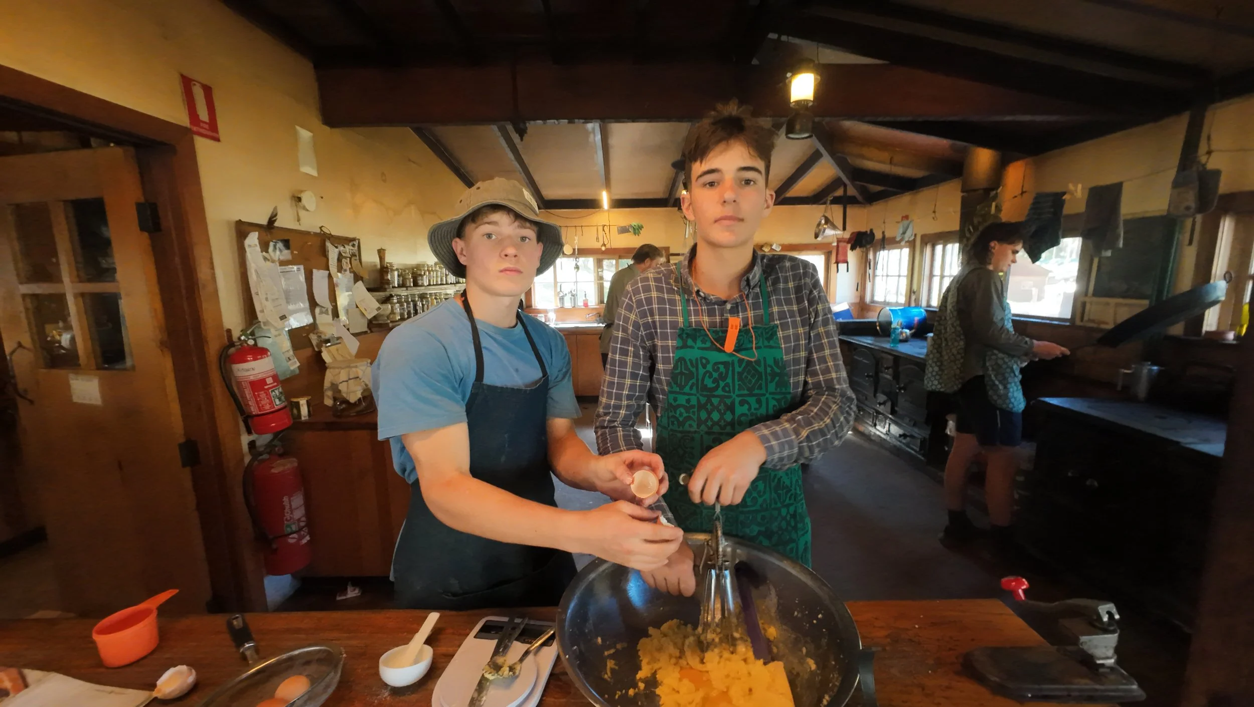 Copy of DJI_20260330160019_0596_D.JPG