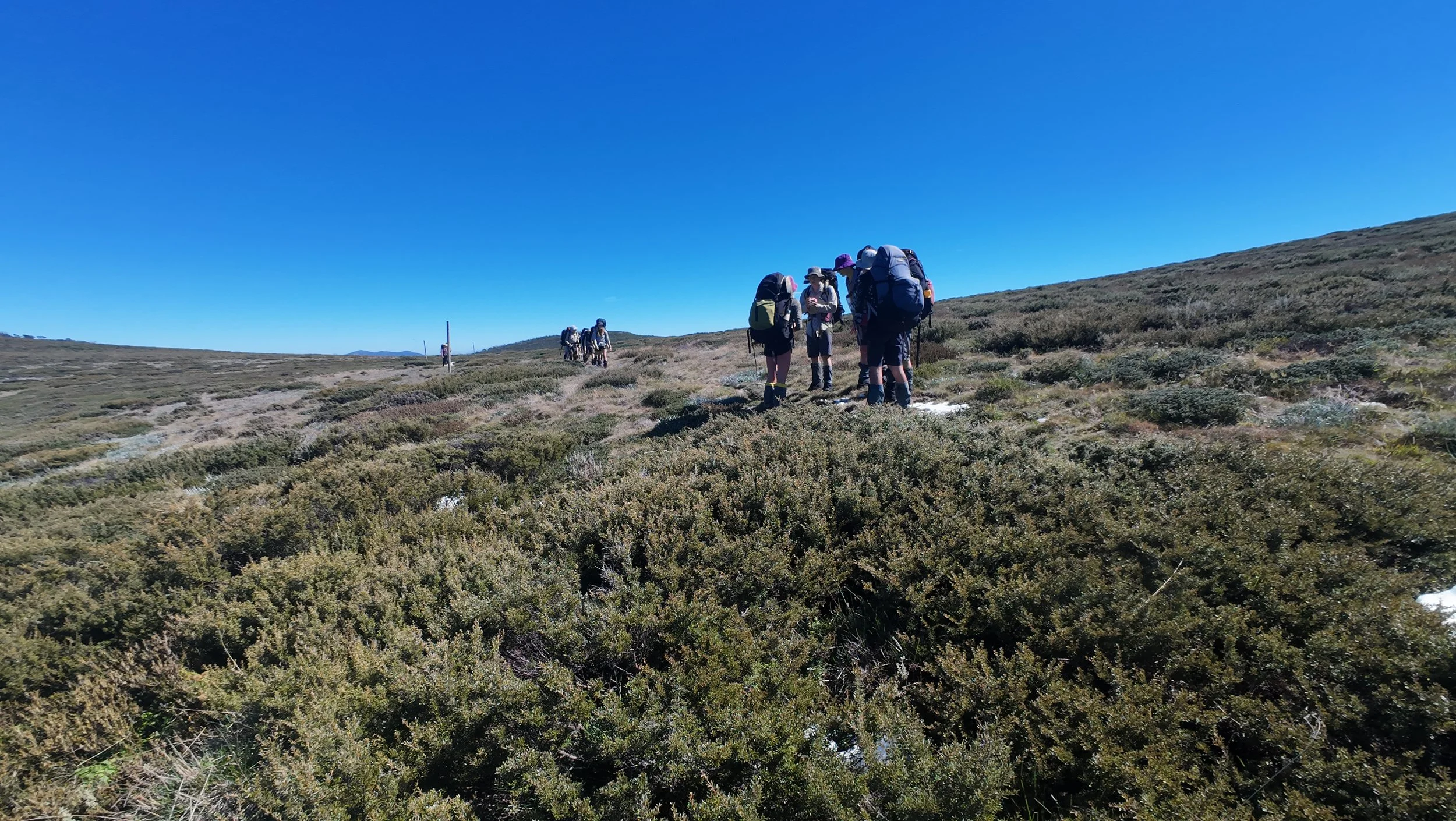 Copy of DJI_20260328122559_0517_D.JPG