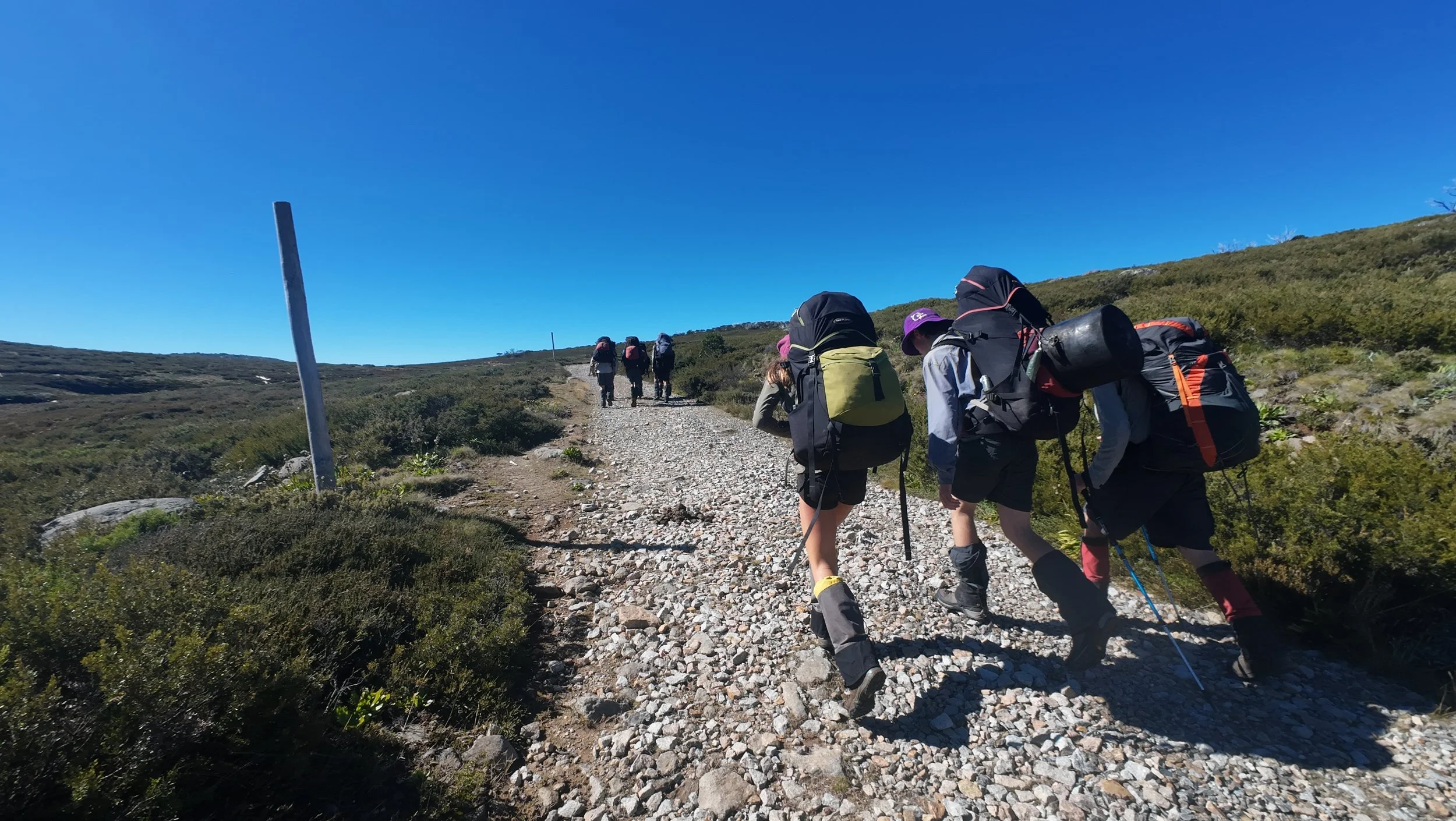 Copy of DJI_20260328113711_0506_D.JPG