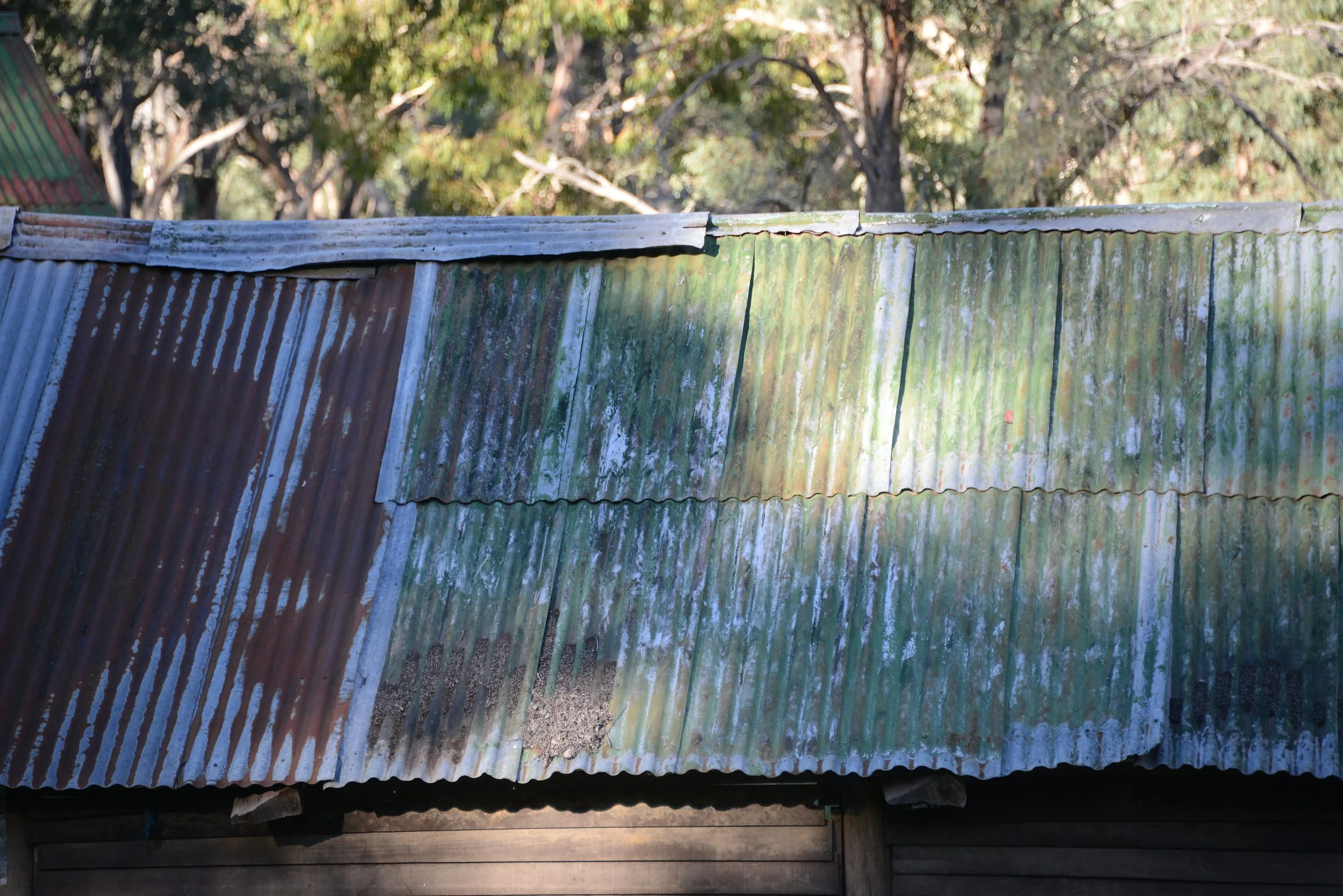 DSC_9789.JPG