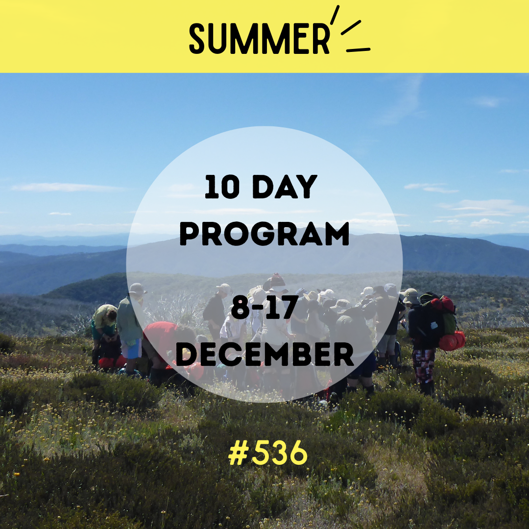 #536 MIXED 10-Day Program