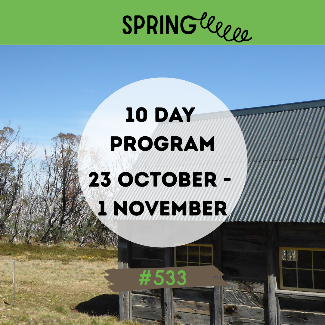 #533 MIXED 10-Day Program