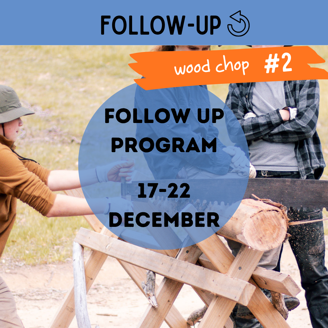 FOLLOW UP - WOOD CHOP #2