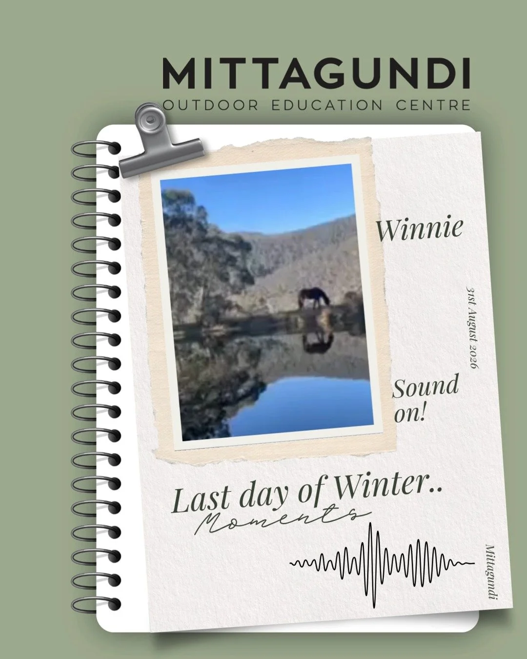 👂🔉 It's the last day of winter. Turn the sound up and enjoy the serenity from our little corner of the world. xx Annie &amp; Winnie