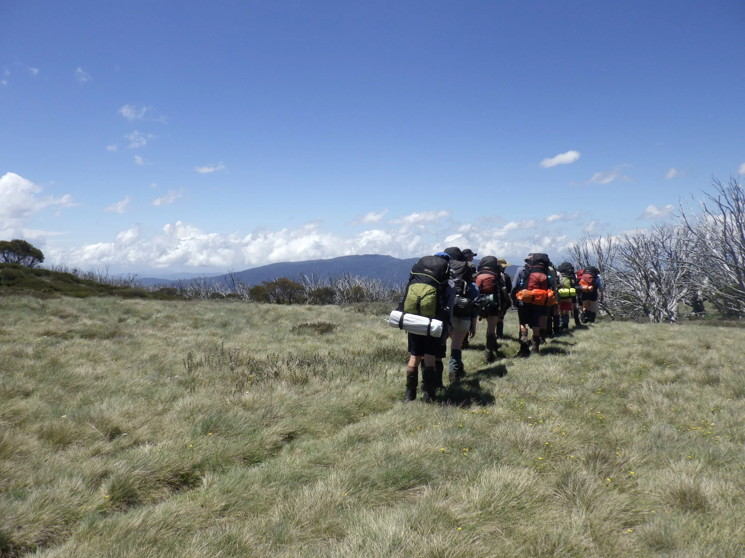 Copy of R0011841.JPG