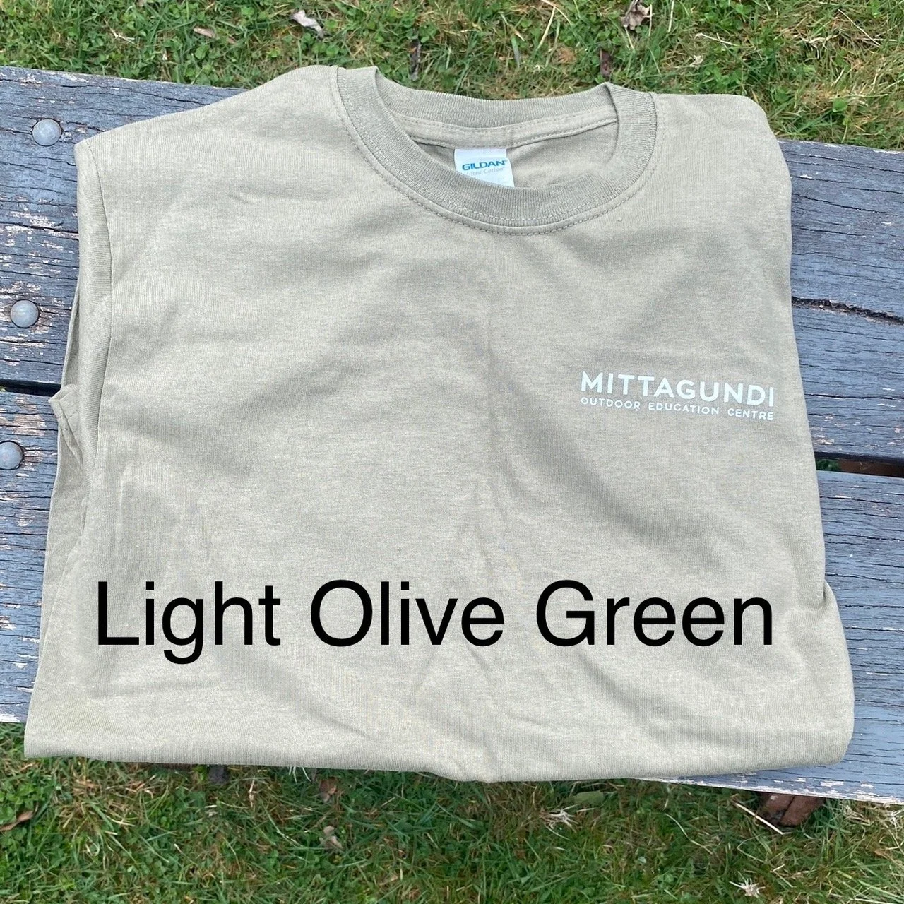 Light Olive Green.jpg
