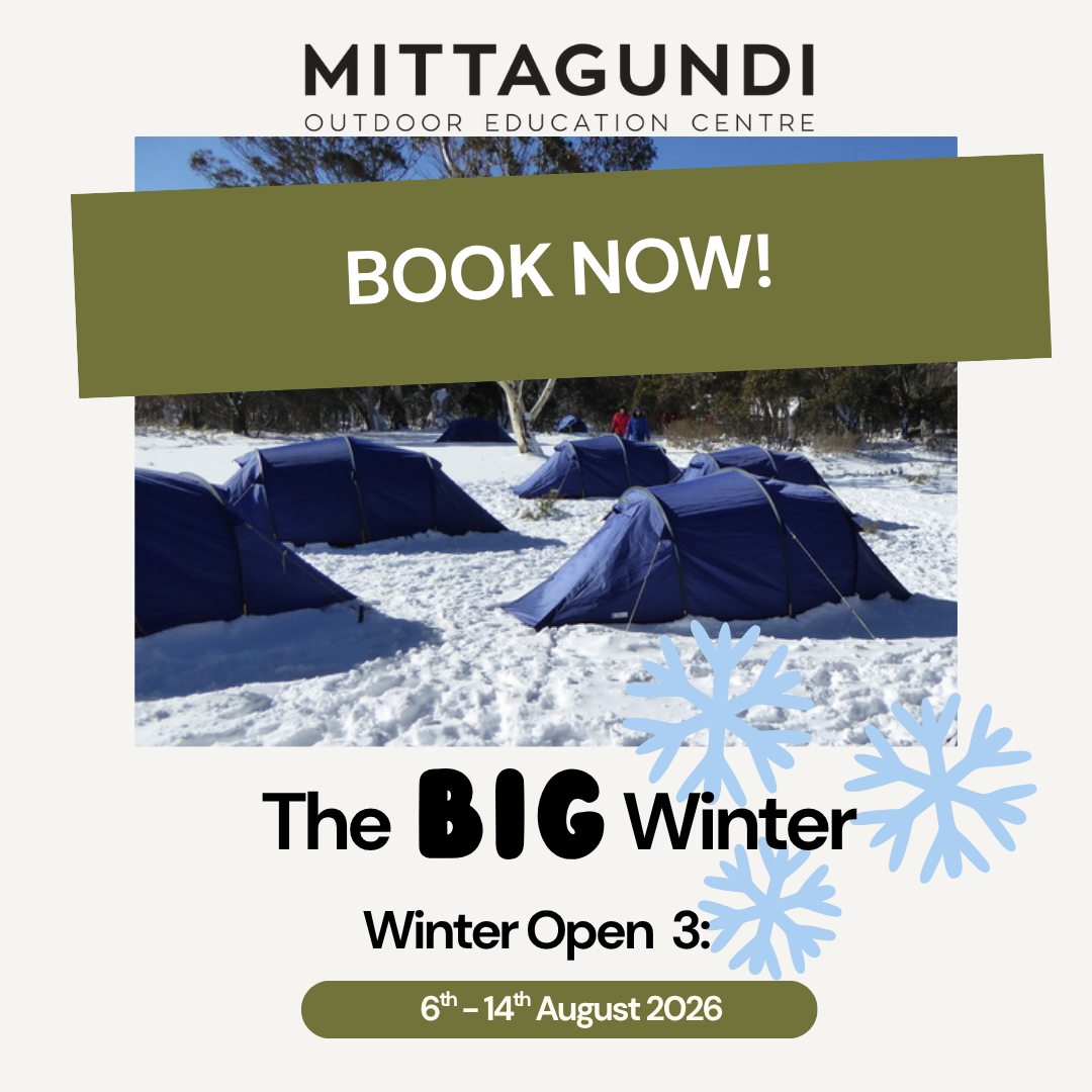 WINTER OPEN 3