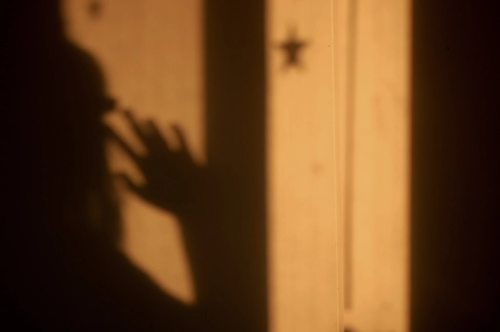 shadow-obsessed December 2012 - Age 19 Colorado, USA