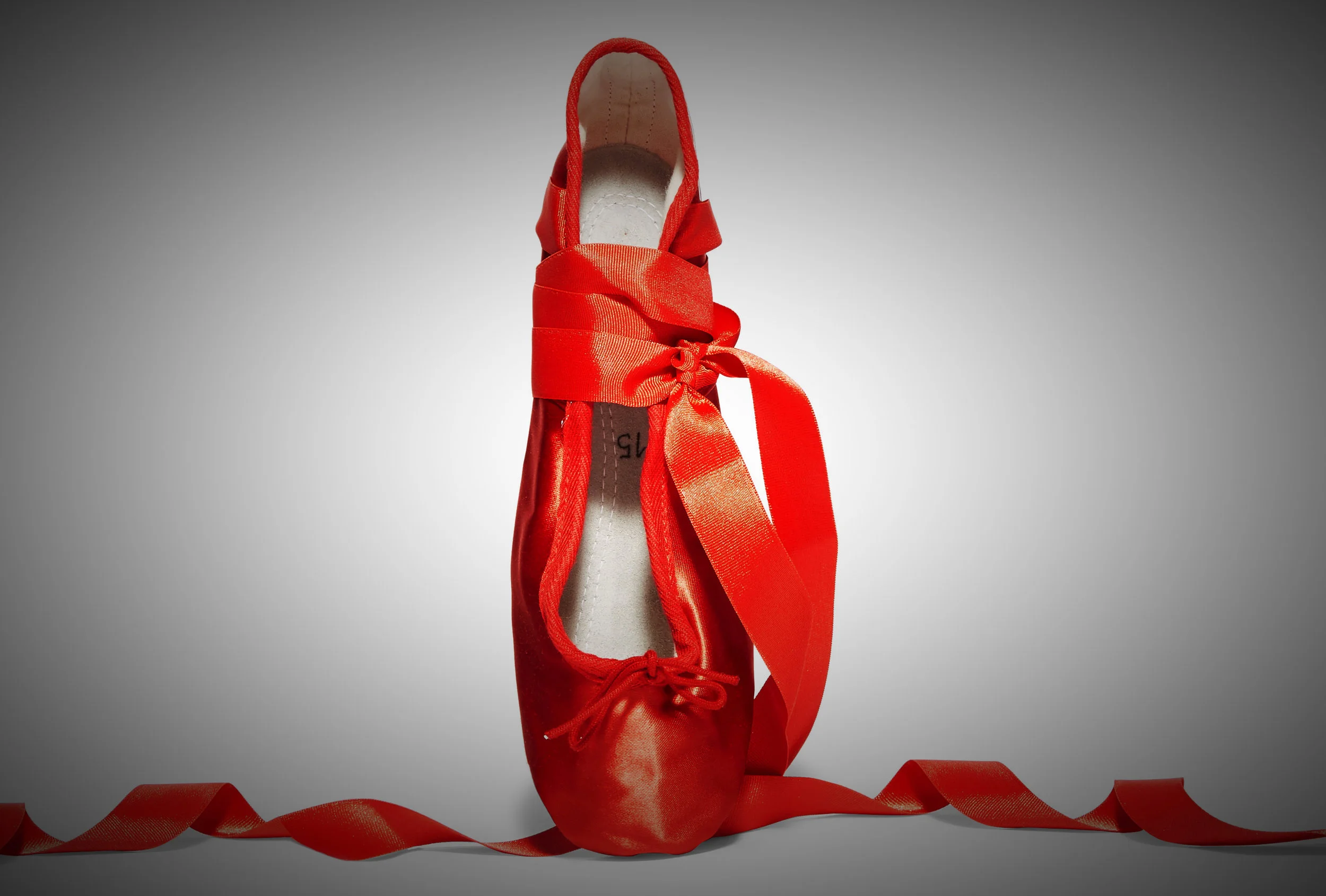 redshoe RT 2.jpg