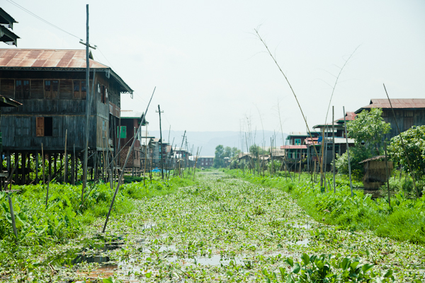 Myanmar-1825.jpg