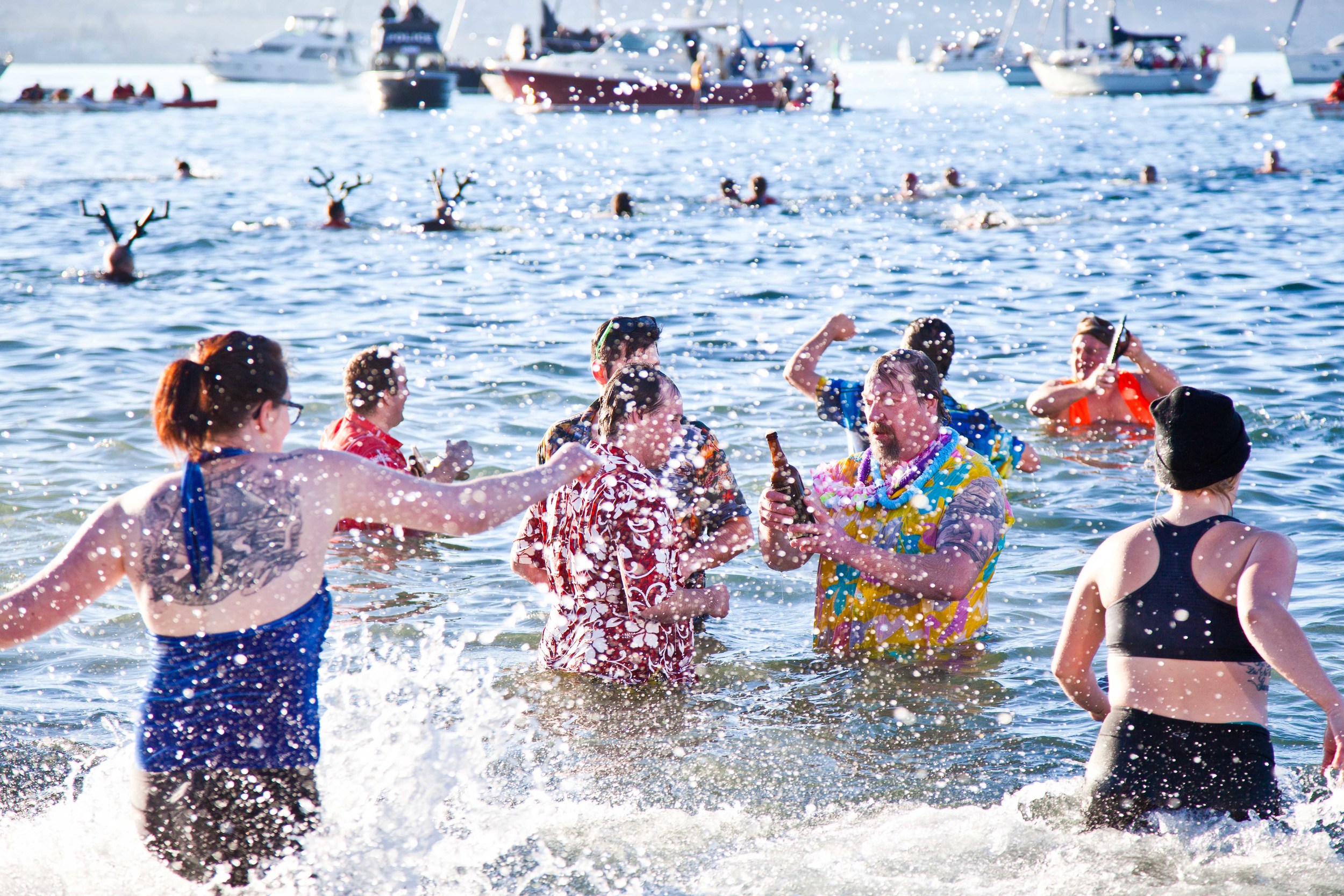 Polar Bear Swim-5649.jpg