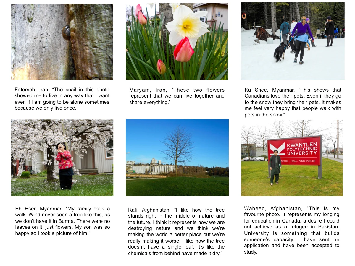 A selection of the 50 images that were displayed at the exhibition