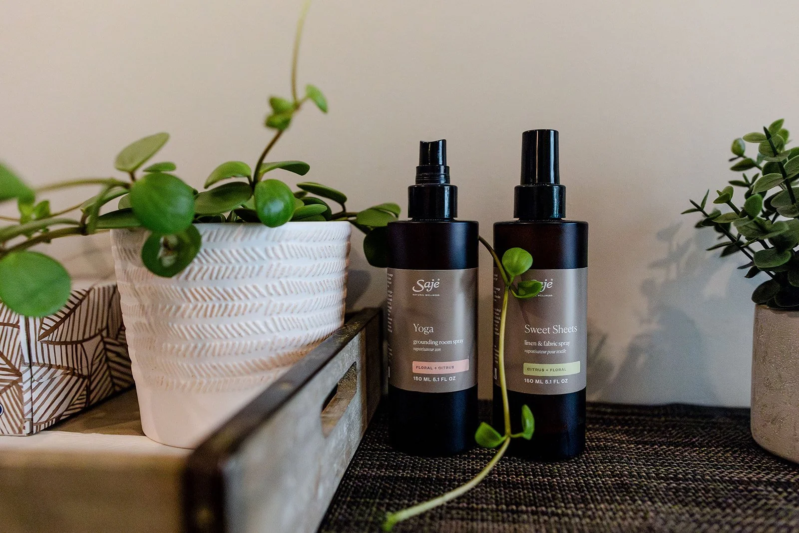 Vancouver business brand photography_Maxine Bulloch_RMT.jpg