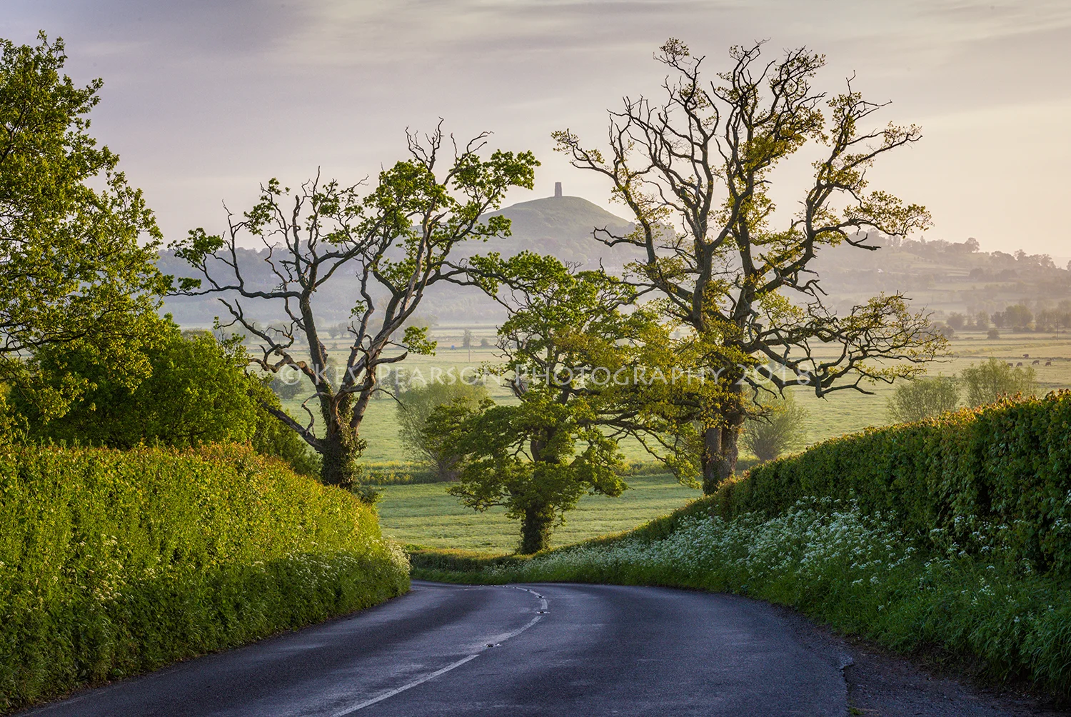 Three Oaks
