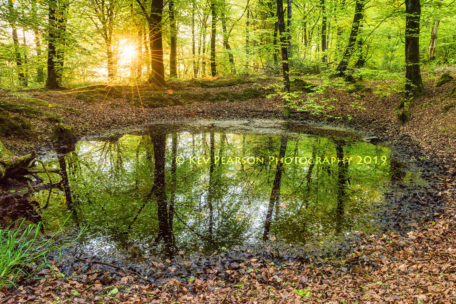 The Faerie Pool