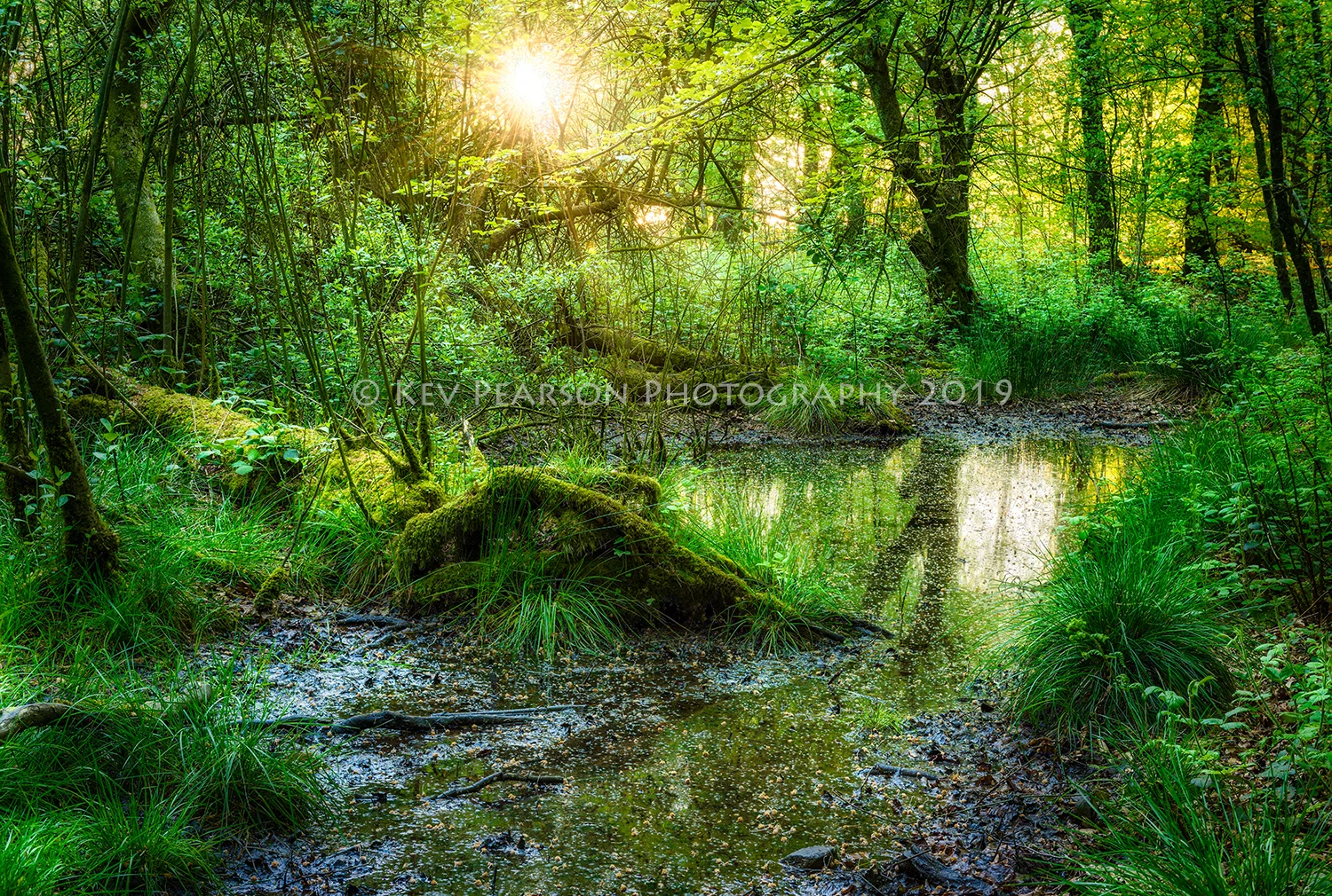 Little Paradise.jpg