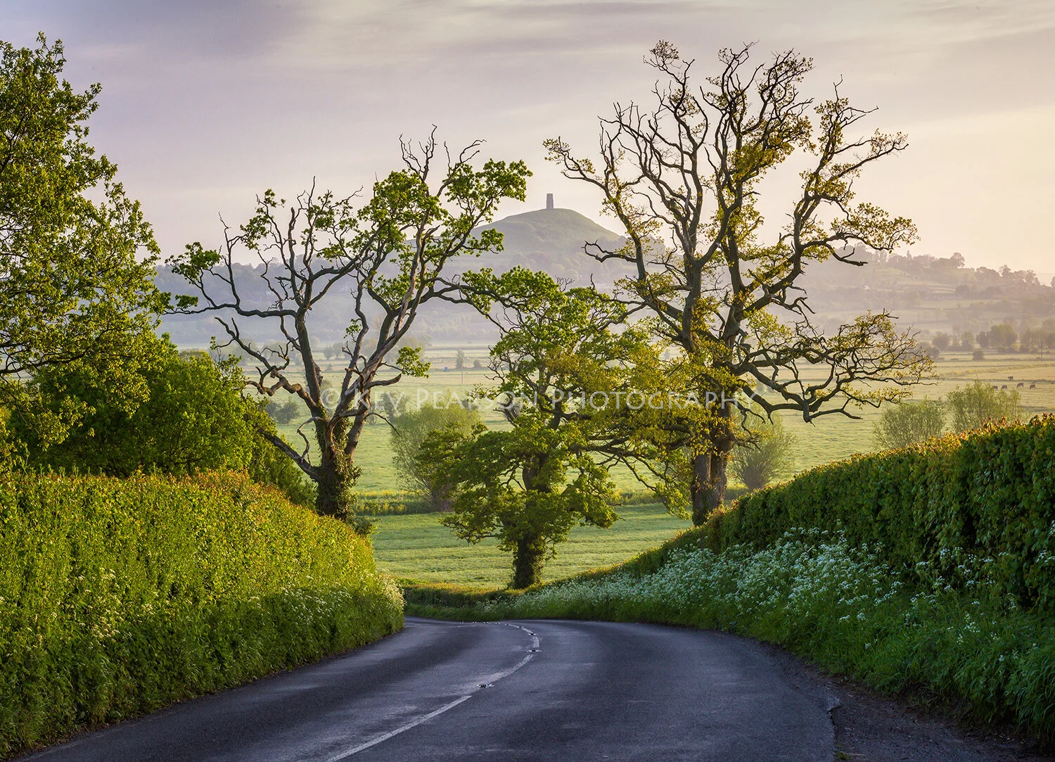 Three Oaks