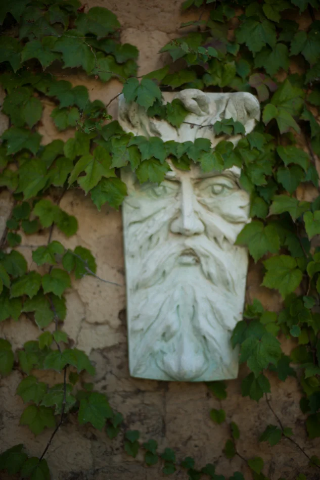 garden-6.jpg