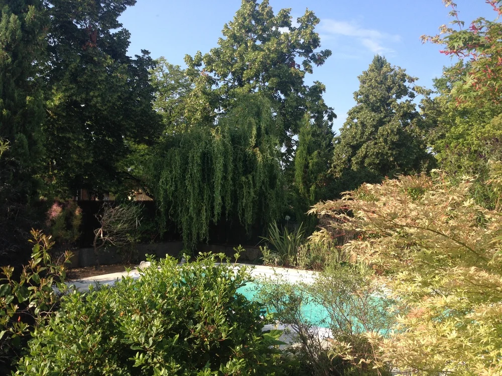 Pool-Garden.jpg